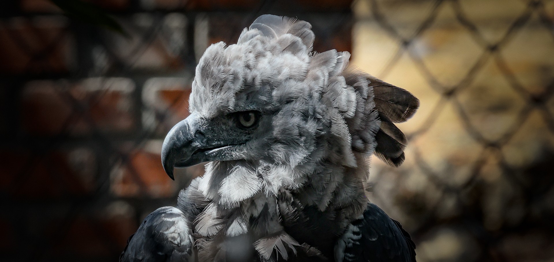 Kolumbien – Aviario Nacional