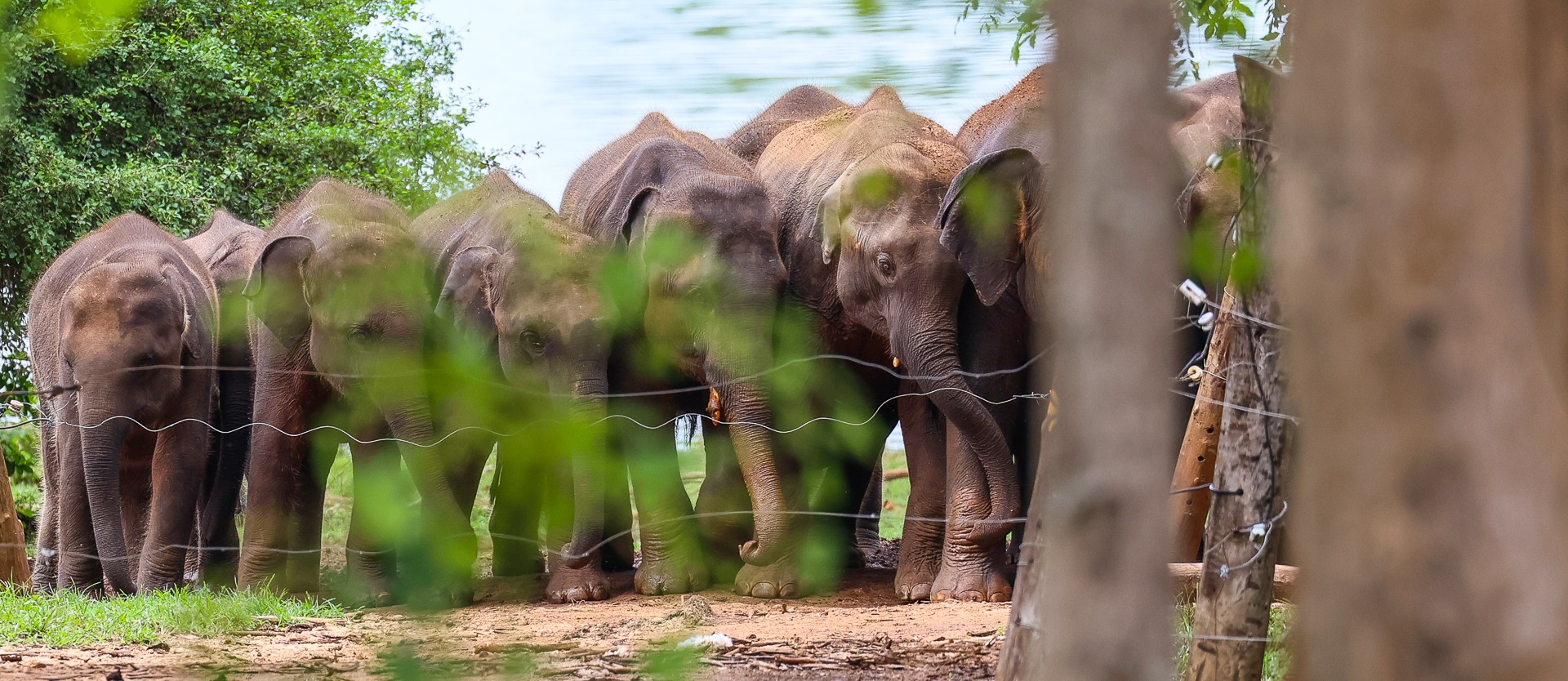 Sri Lanka – Udawalawe National Park