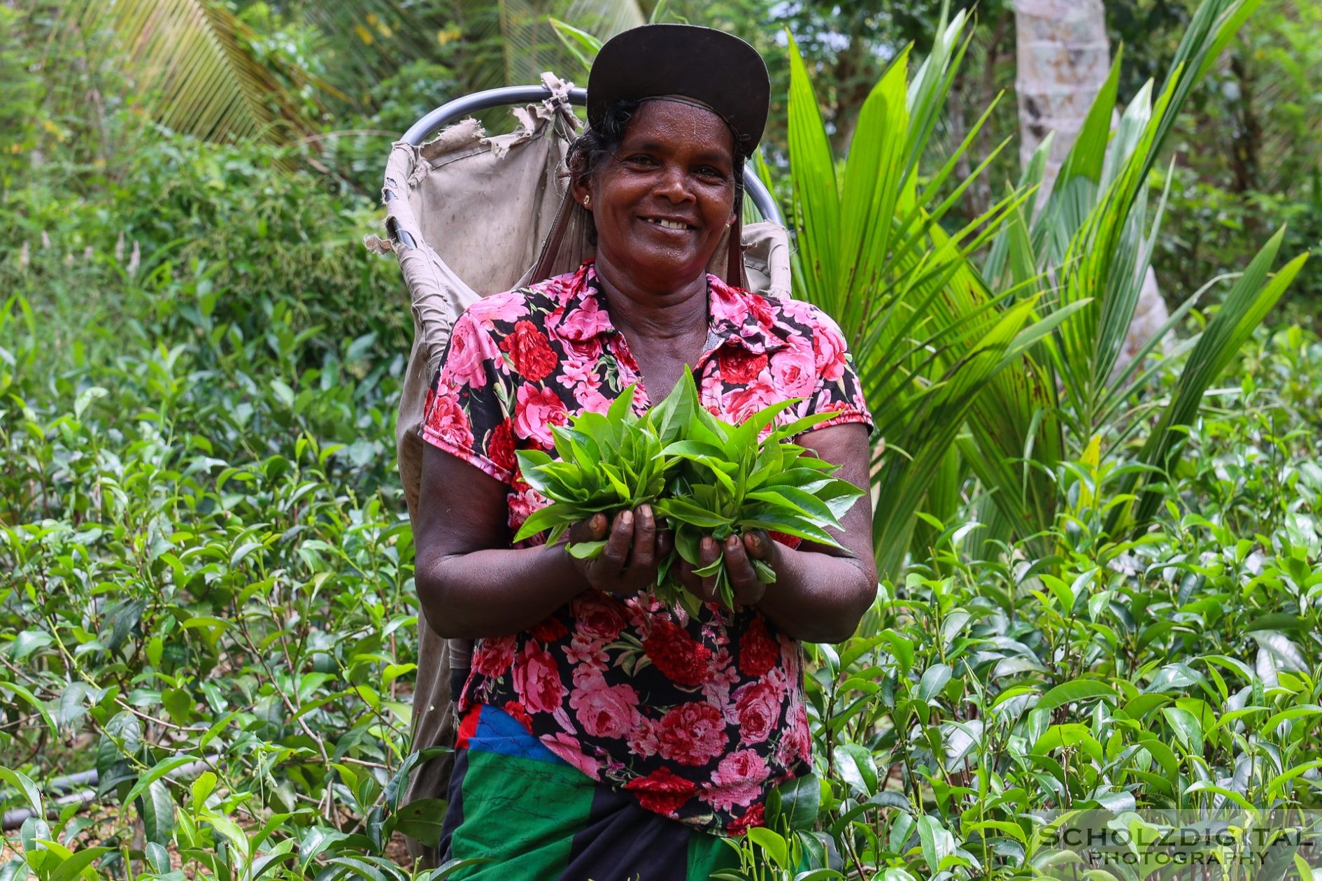 Sri Lanka Tea